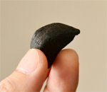 黒にんにくはなぜ黒い？