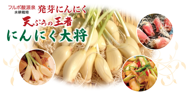 フルボ酸源泉水耕栽培 天ぷらの王者 にんにく大将