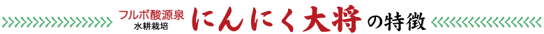フルボ酸源泉水耕栽培にんにく大将の特徴