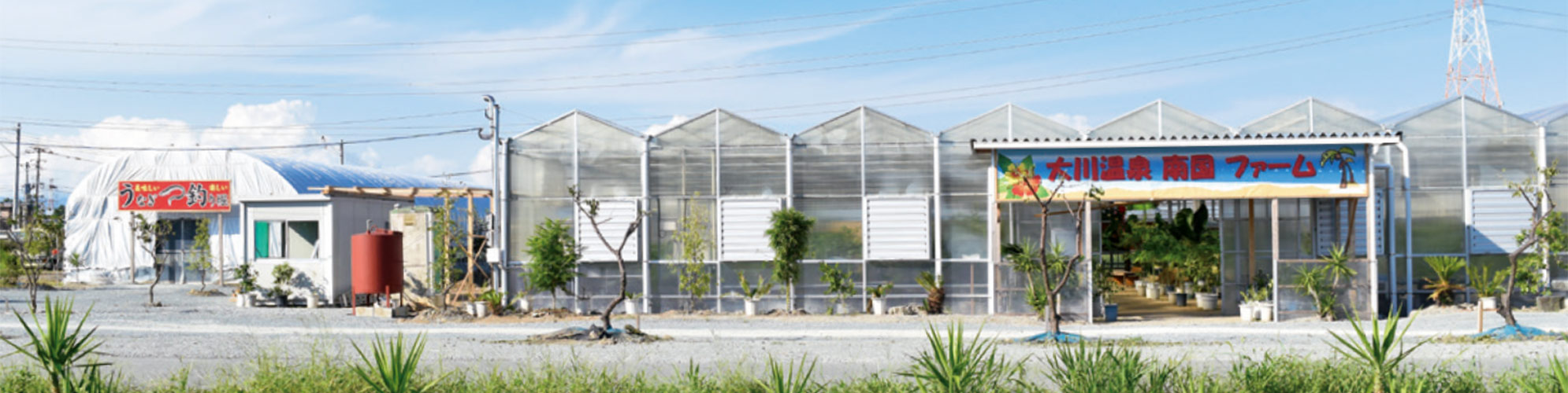 大川温泉 周辺のおすすめスポット